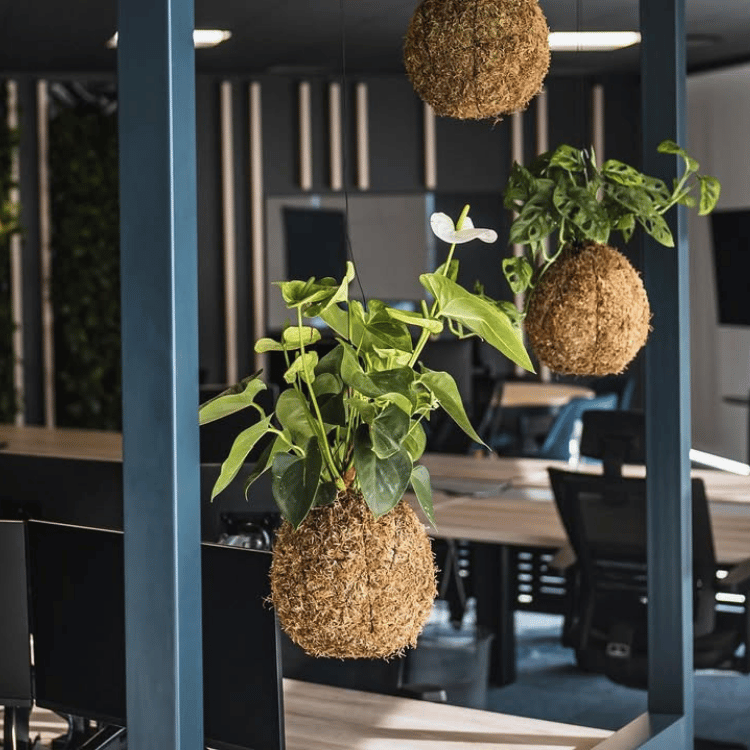 LIBRA JOINERS & INTERIORS – TRAVEL GROUND SA (10)
